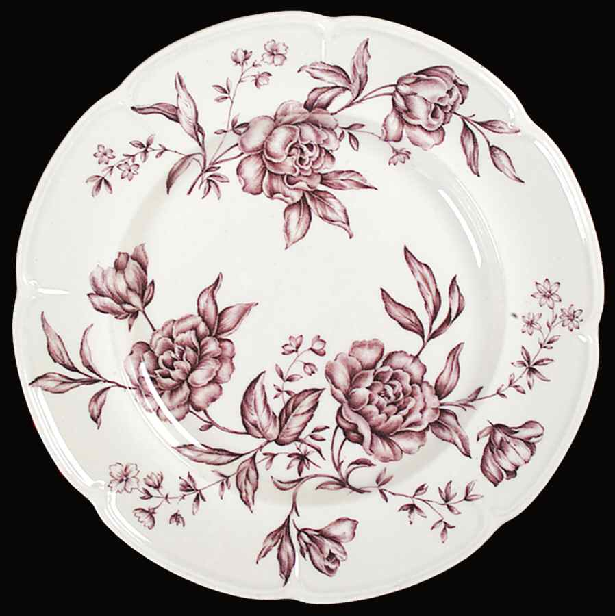 Warwick Mulberry Dinner Plate by Johnson Brothers-1