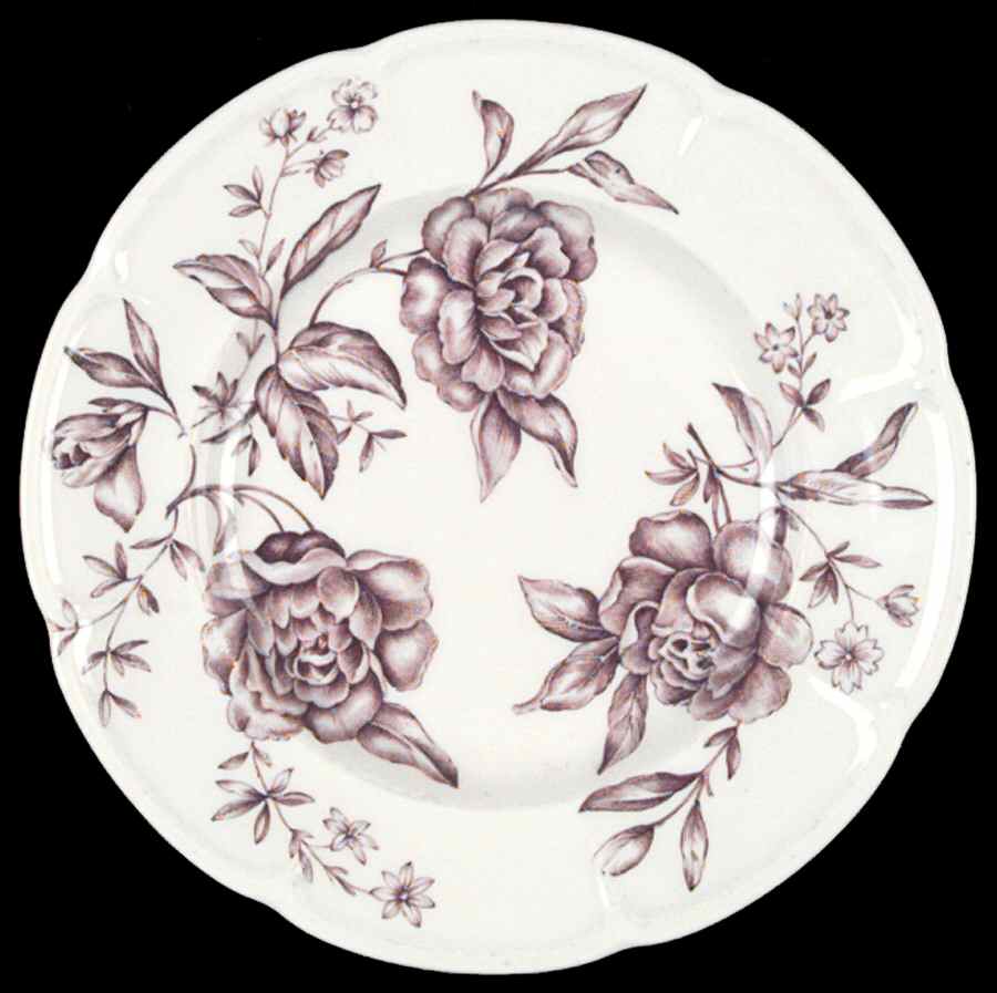 Warwick Mulberry Bread & Butter Plate by Johnson Brothers-1