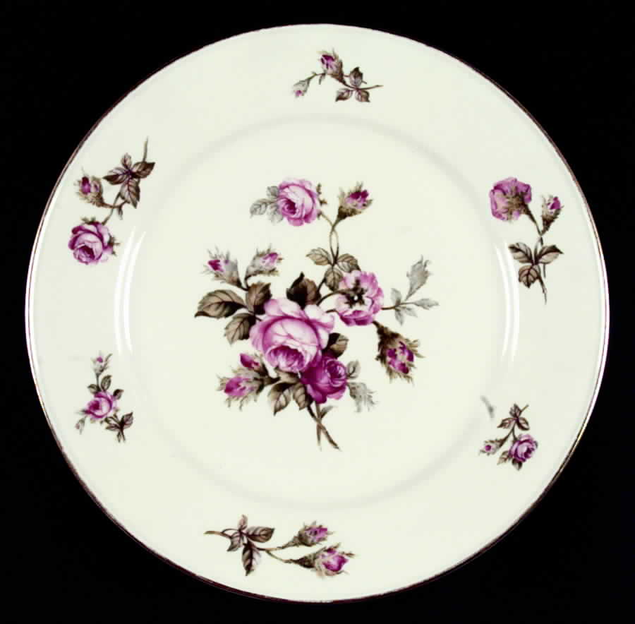 JOH220 Dinner Plate by Johann Haviland-1