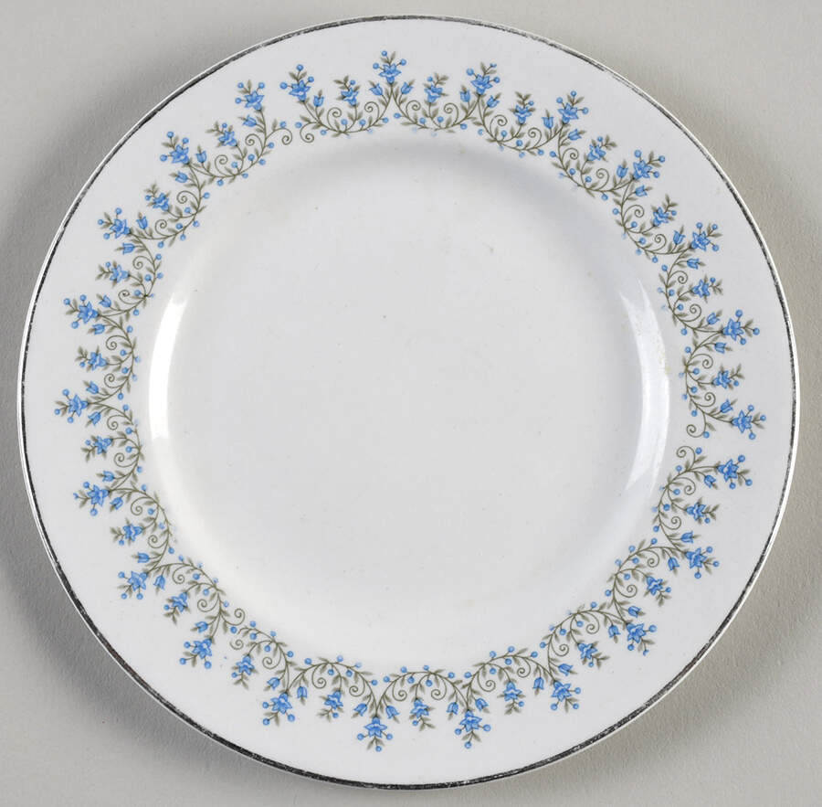 JB328 Bread & Butter Plate by Johnson Brothers-1