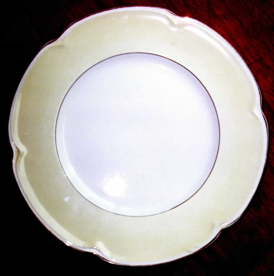 JB330 Dinner Plate by Johnson Brothers-1