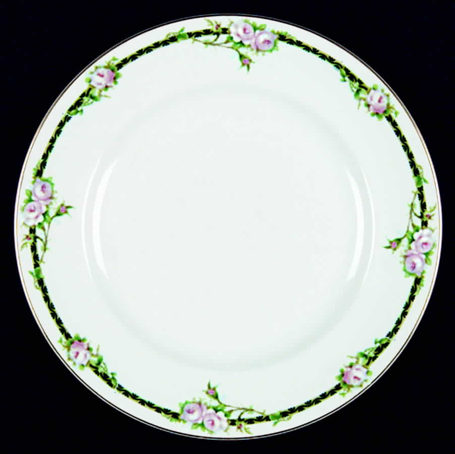 JB332 Dinner Plate by Johnson Brothers-1
