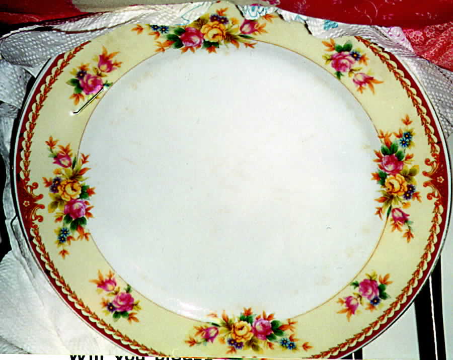 JAP92 Dinner Plate by Japan-1