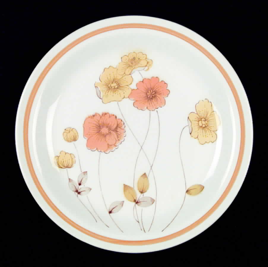 JCP3 Salad Plate by JCPenney-1