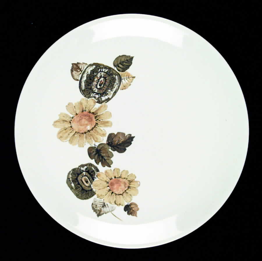 JB340 Dinner Plate by Johnson Brothers-1