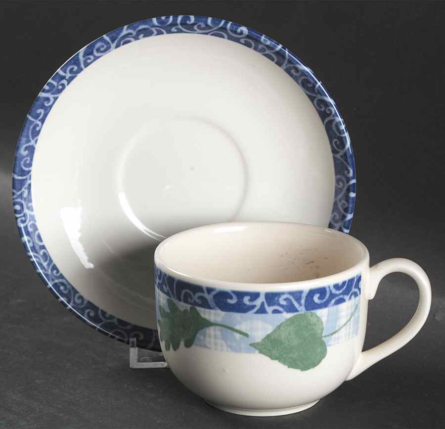 Windfall Flat Cup & Saucer Set by Johnson Brothers-1