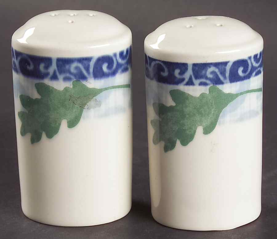 Windfall Salt & Pepper Set by Johnson Brothers-1