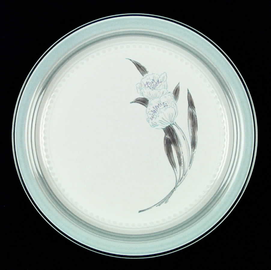 JOH226 Dinner Plate by Johann Haviland-1