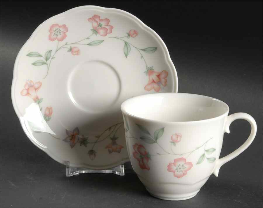 Richmond Hill Flat Cup & Saucer Set by Johnson Brothers-1