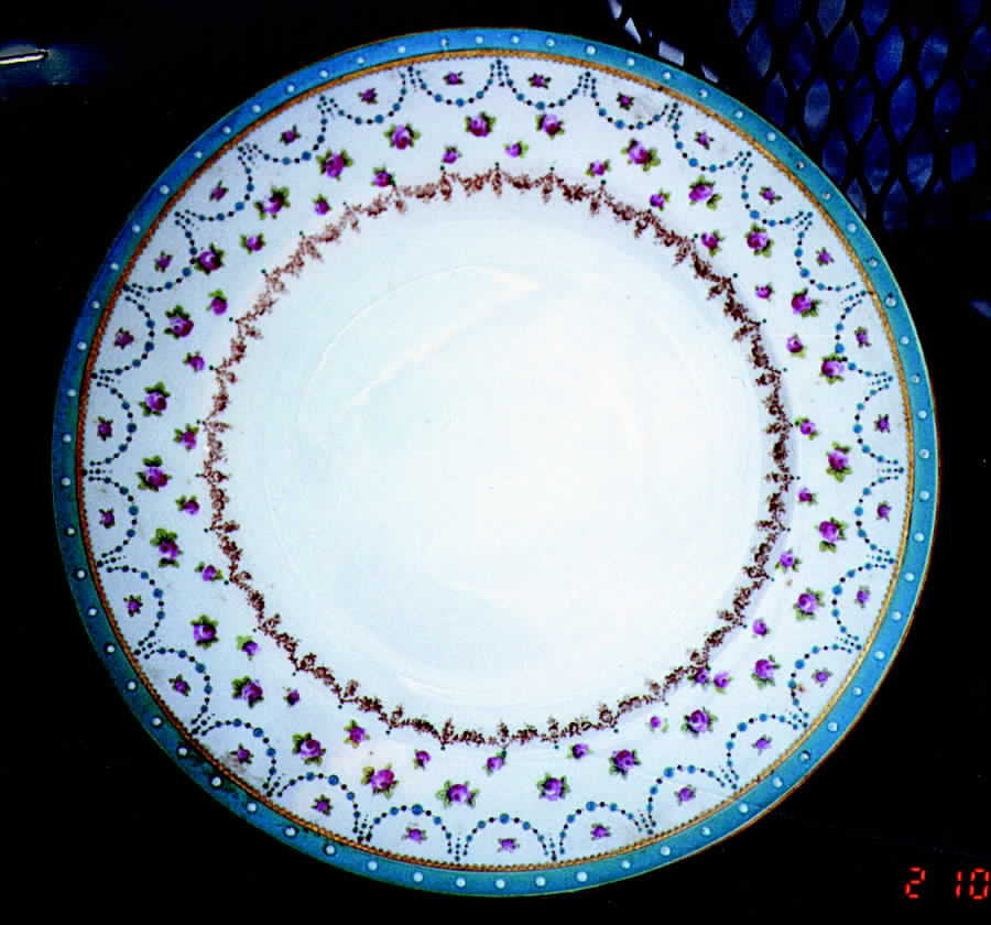 17304 Dinner Plate by George Jones & Sons-1