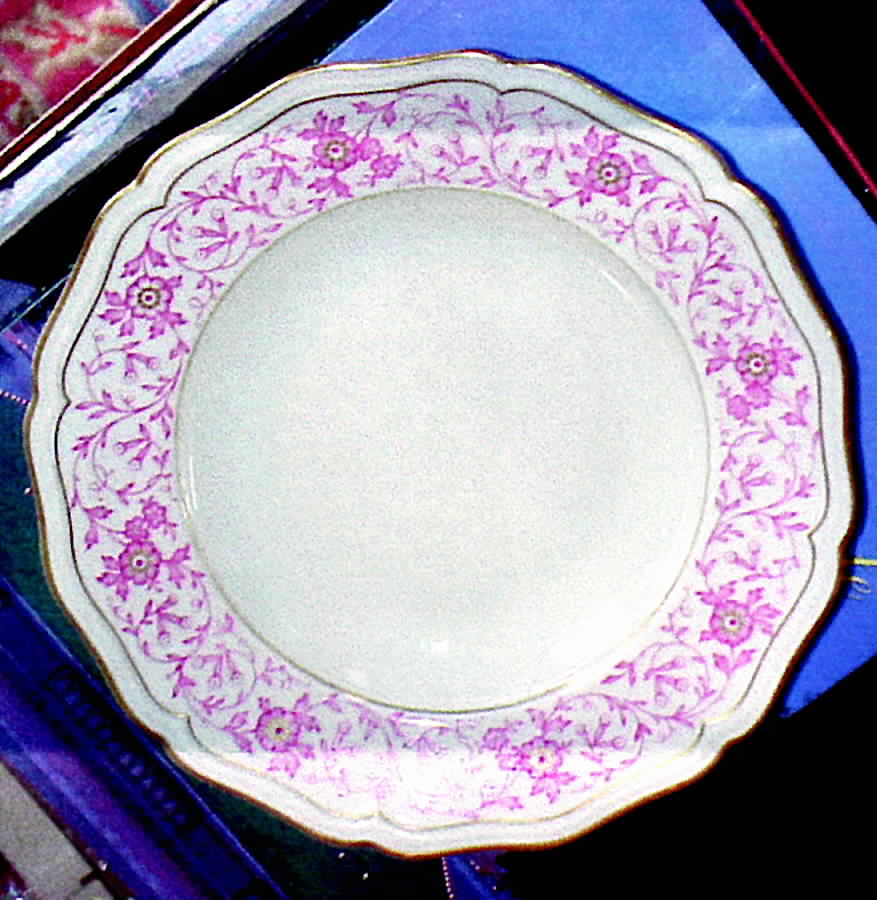 JOH230 Dinner Plate by Johann Haviland-1