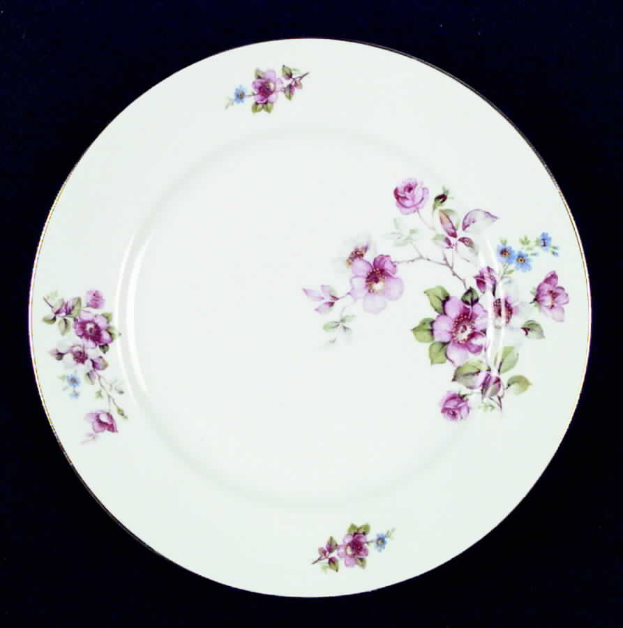 JOE1 Dinner Plate by Johann Seltmann-1