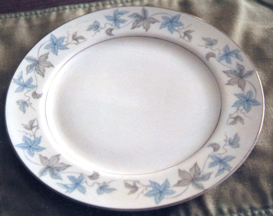 Stanwood Dinner Plate by Japan-1