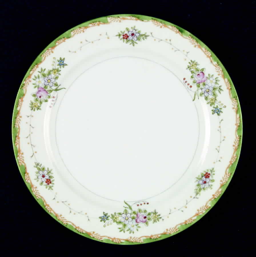JAP107 Dinner Plate by Japan-1