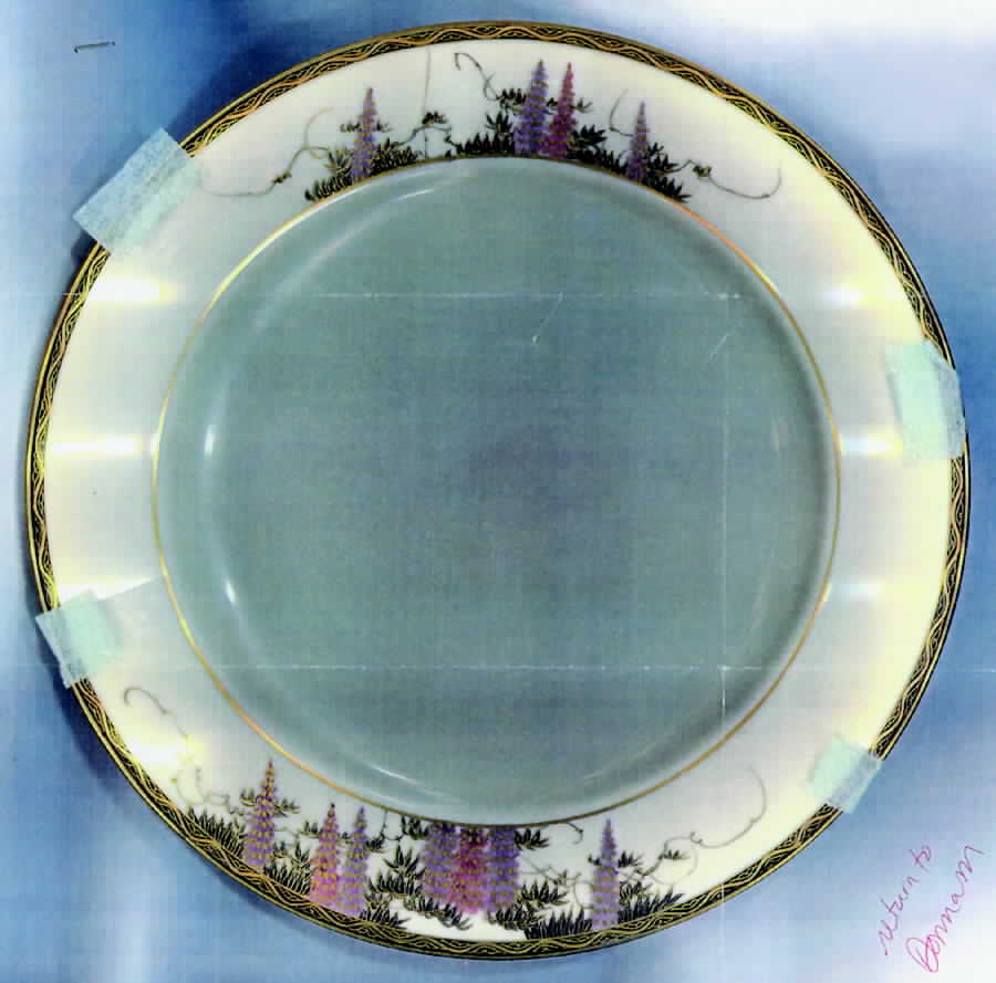 JAP110 Dinner Plate by Japan-1