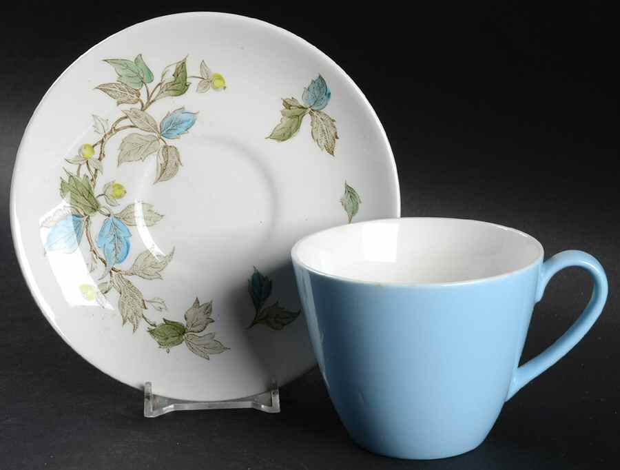 Berry Branch Flat Cup & Saucer Set by Johnson Brothers-1
