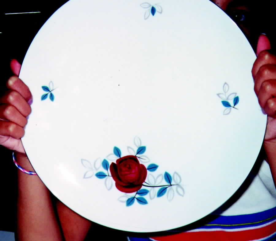 JOH235 Dinner Plate by Johann Haviland-1