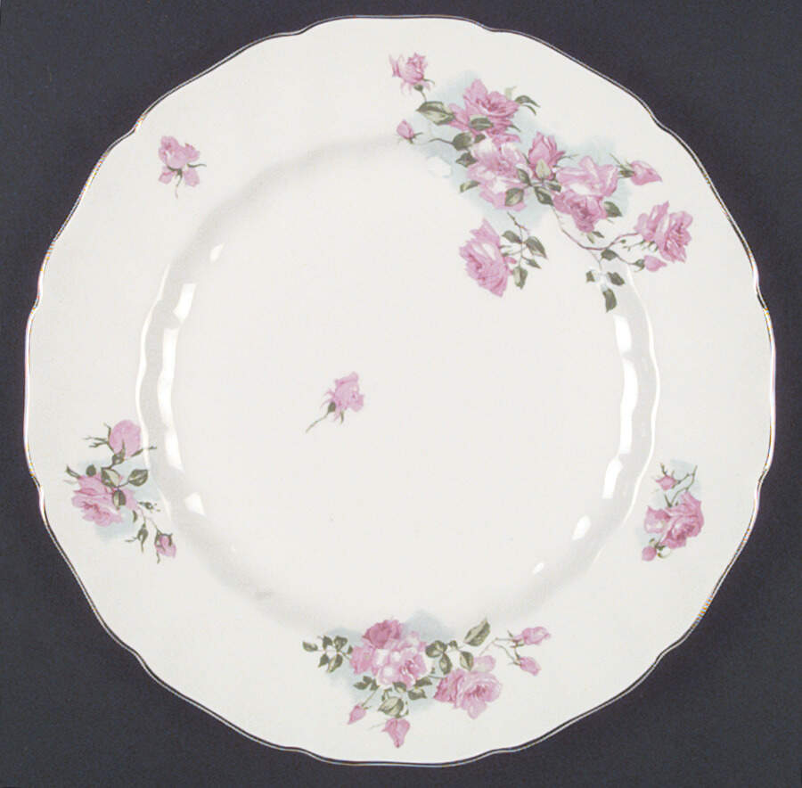 JB381 Dinner Plate by Johnson Brothers-1