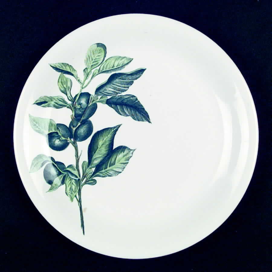Louisiana Dinner Plate by Johnson Brothers-1