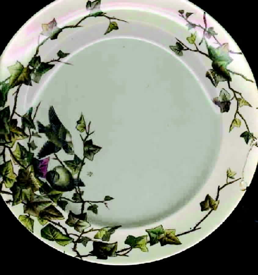 Ivy Bower Dinner Plate by George Jones & Sons-1