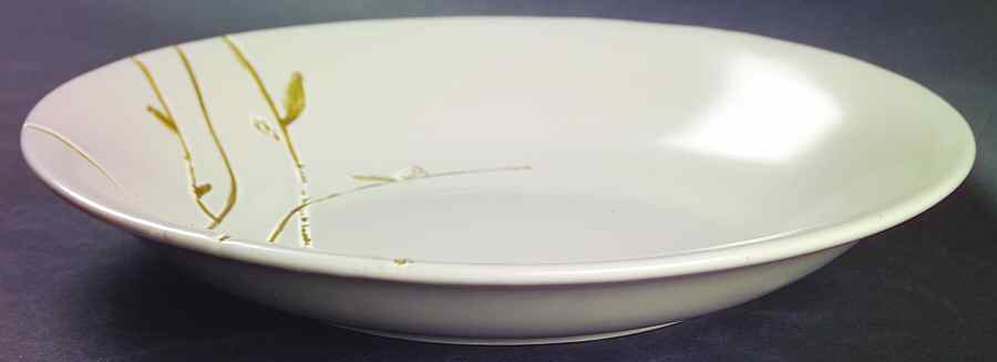 Urban Garden Soup/Cereal Bowl by JCPenney-1