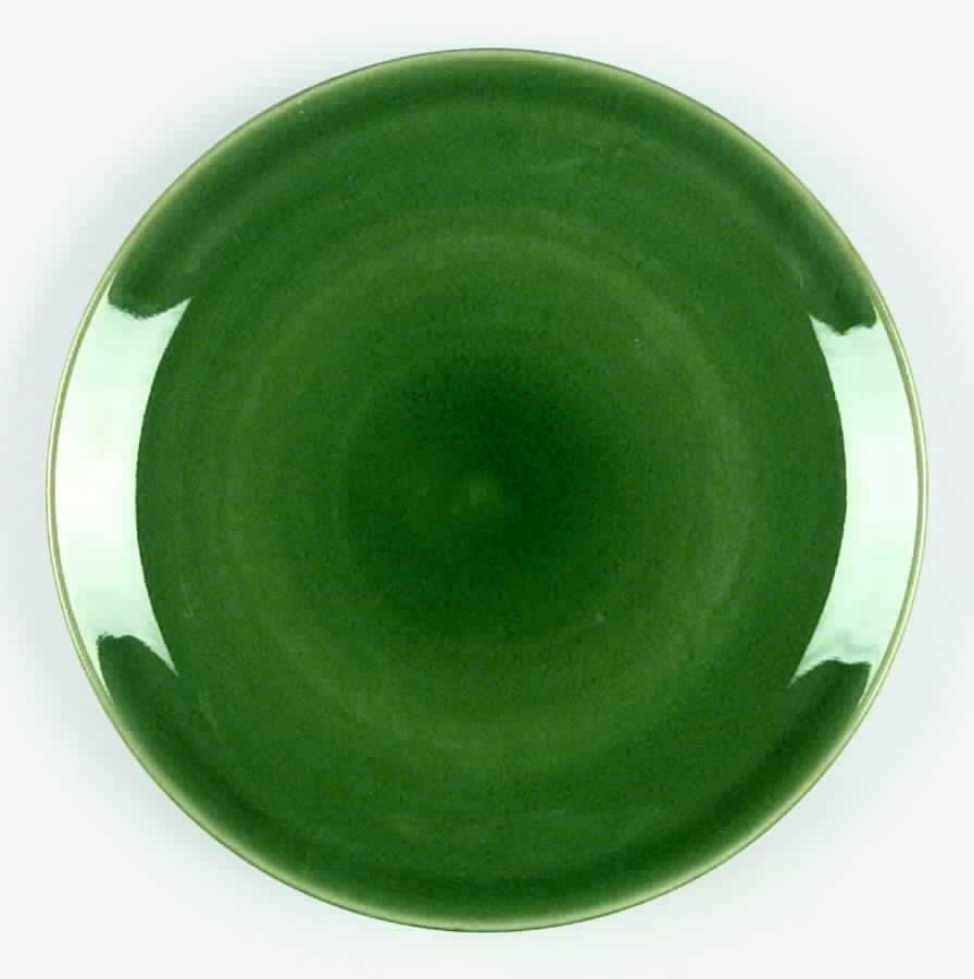 Asian Influence Green (Dark Slate) Dinner Plate by JCPenney-1