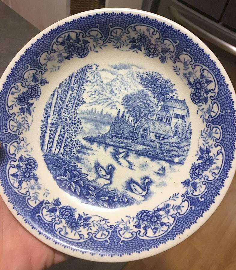 English Village Coupe Soup Bowl by Roberts-1