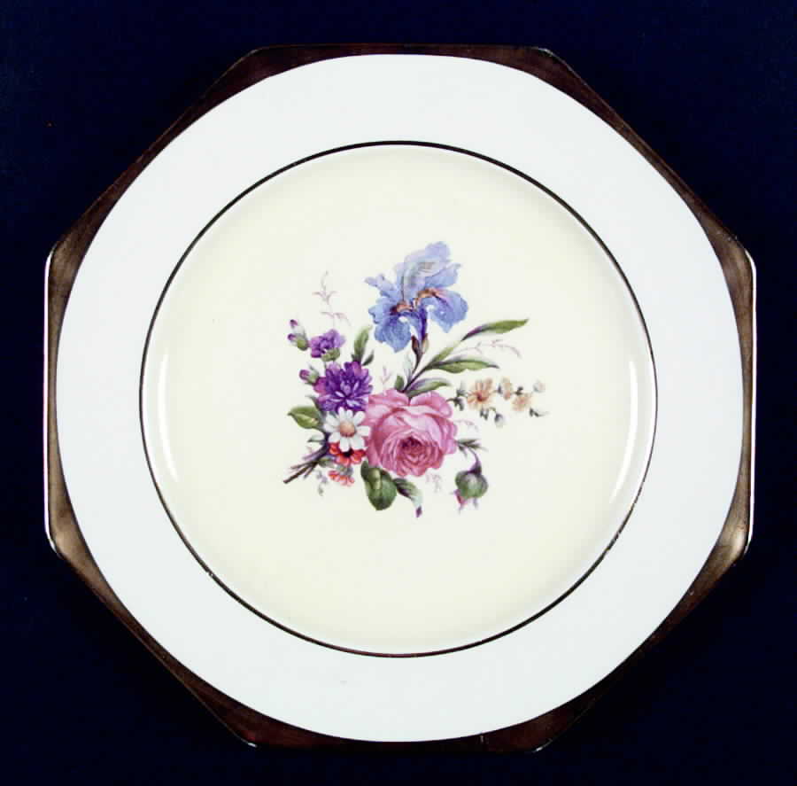 JB414 Dinner Plate by Johnson Brothers-1