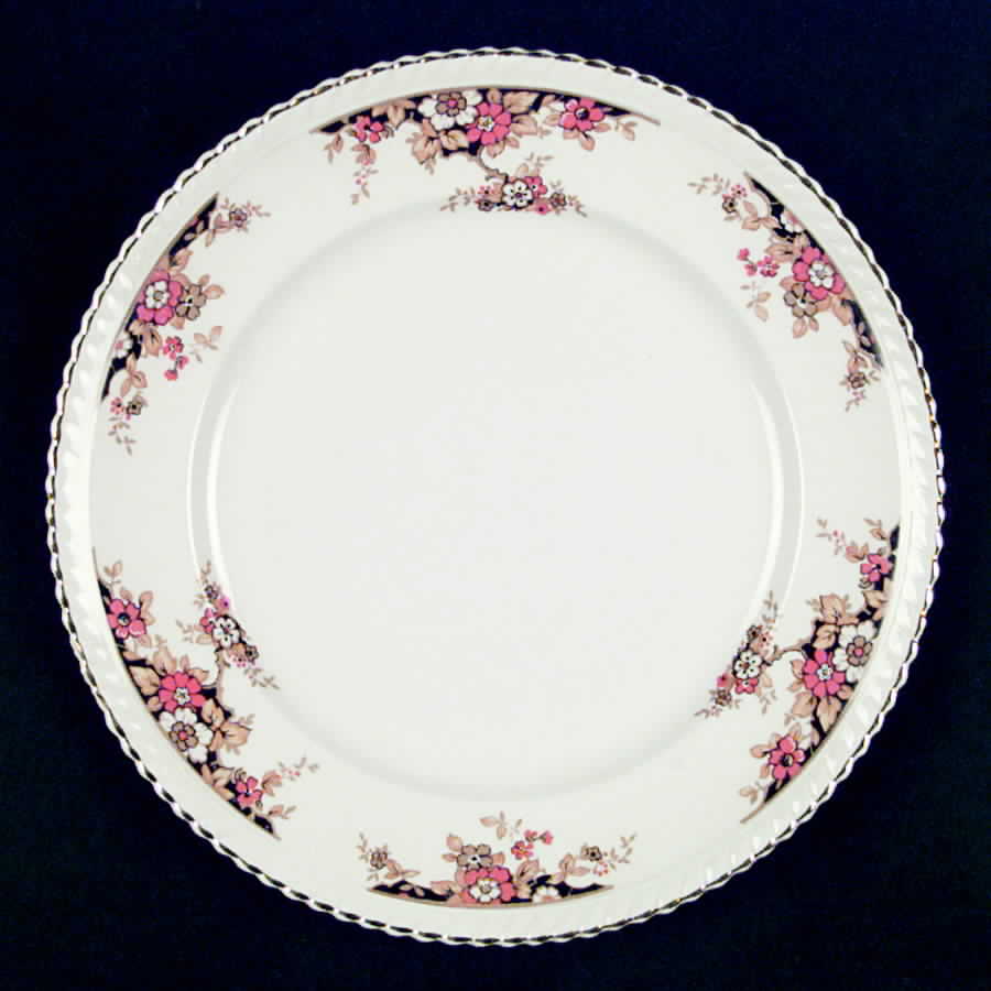 JB420 Dinner Plate by Johnson Brothers-1