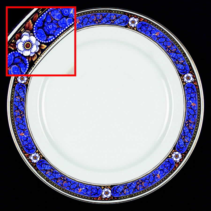 Devon Dinner Plate by Johnson Brothers-1