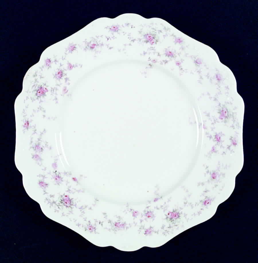 JB421 Dinner Plate by Johnson Brothers-1