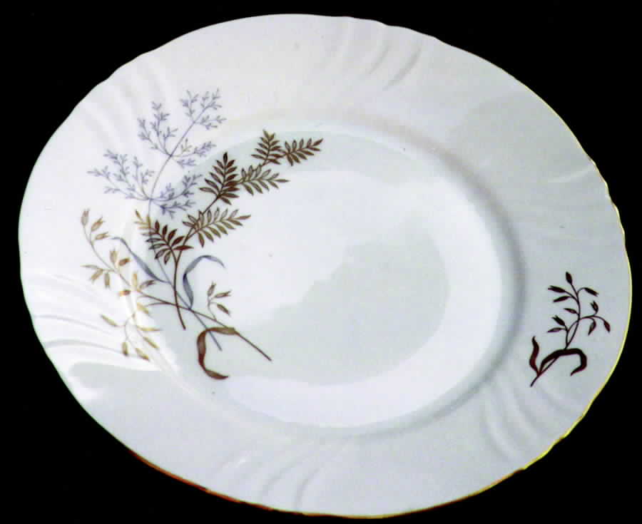 W1042 Dinner Plate by Johann Haviland-1