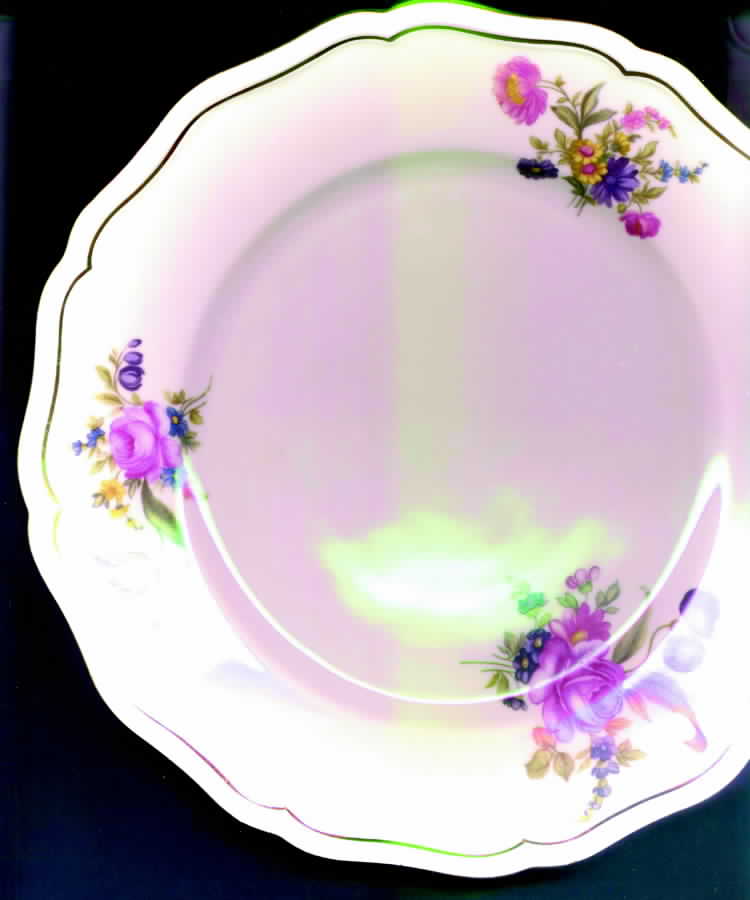 JOH244 Dinner Plate by Johann Haviland-1