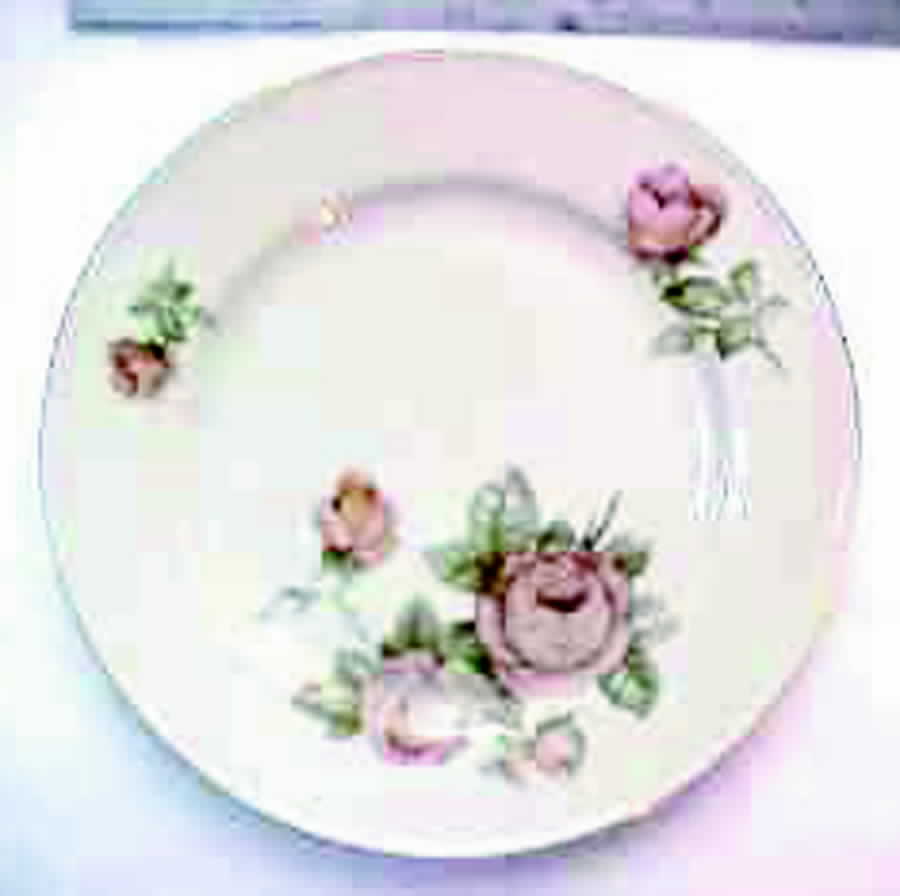 E624 Dinner Plate by Johann Haviland-1