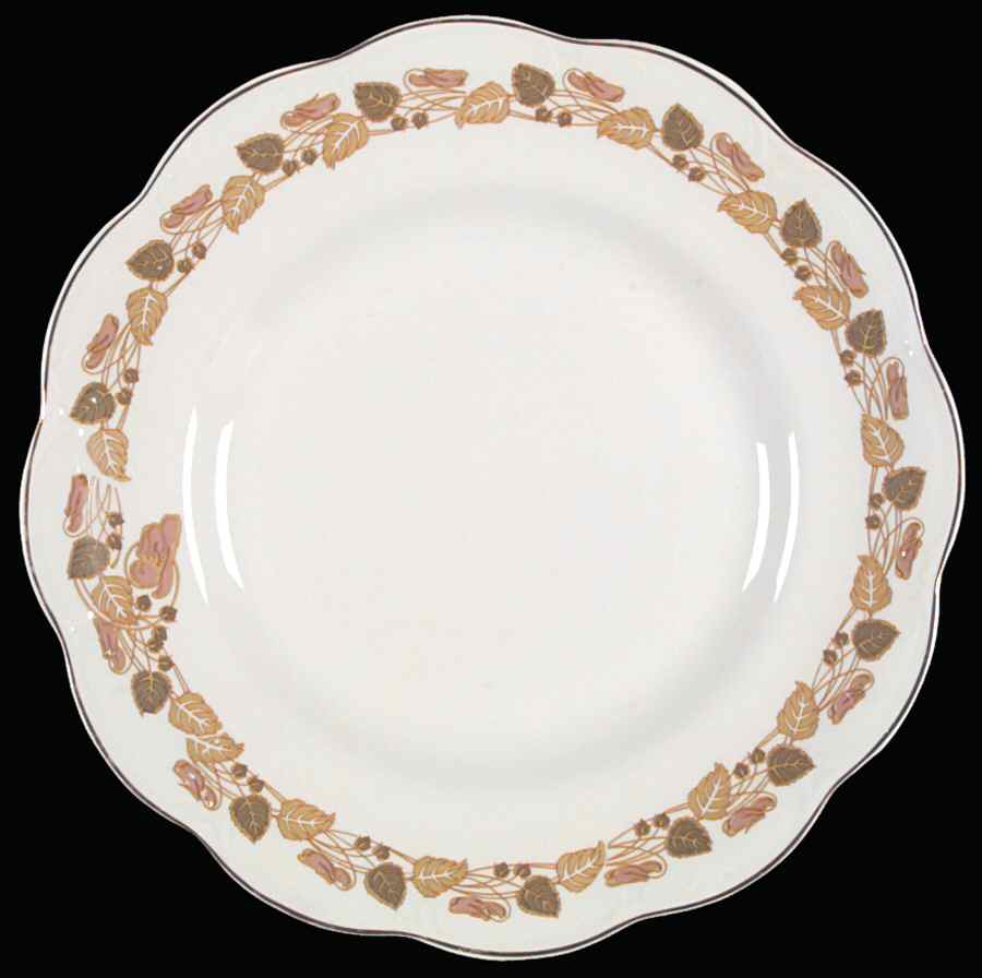 The Tuscany Dinner Plate by Johnson Brothers-1