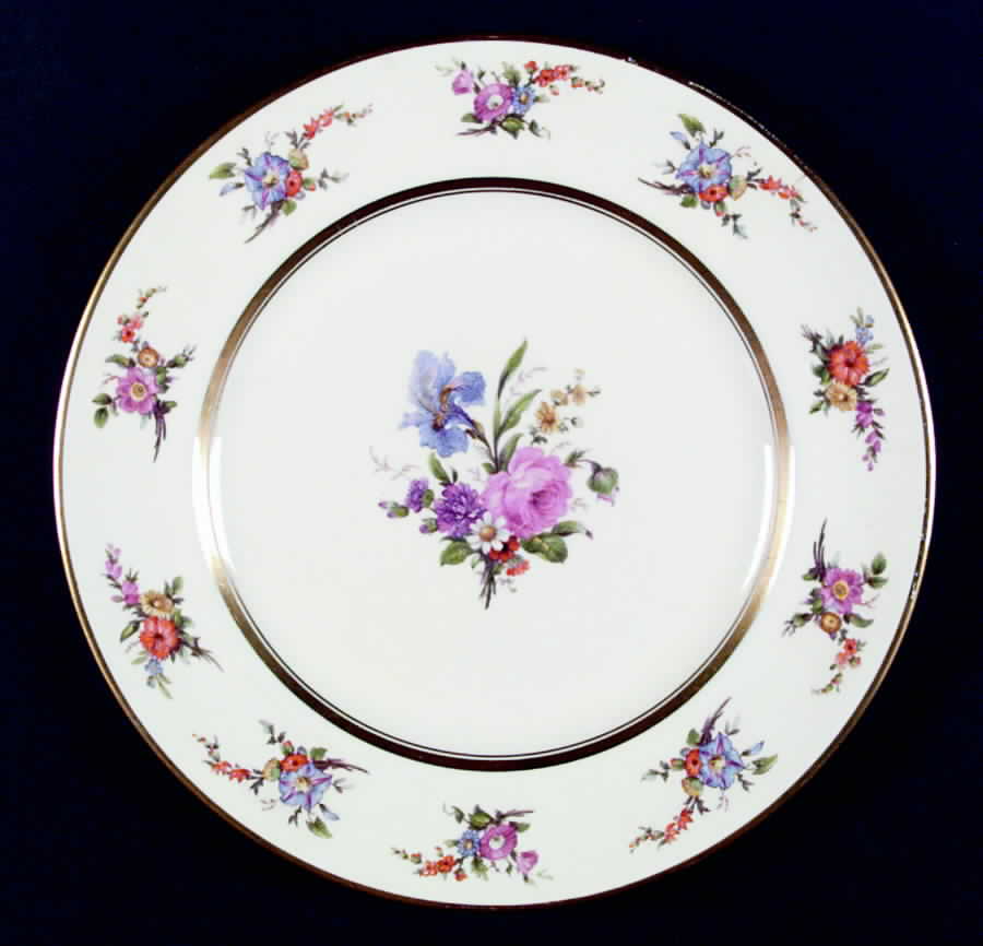 JB424 Dinner Plate by Johnson Brothers-1