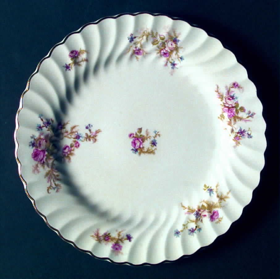 JB432 Dinner Plate by Johnson Brothers-1