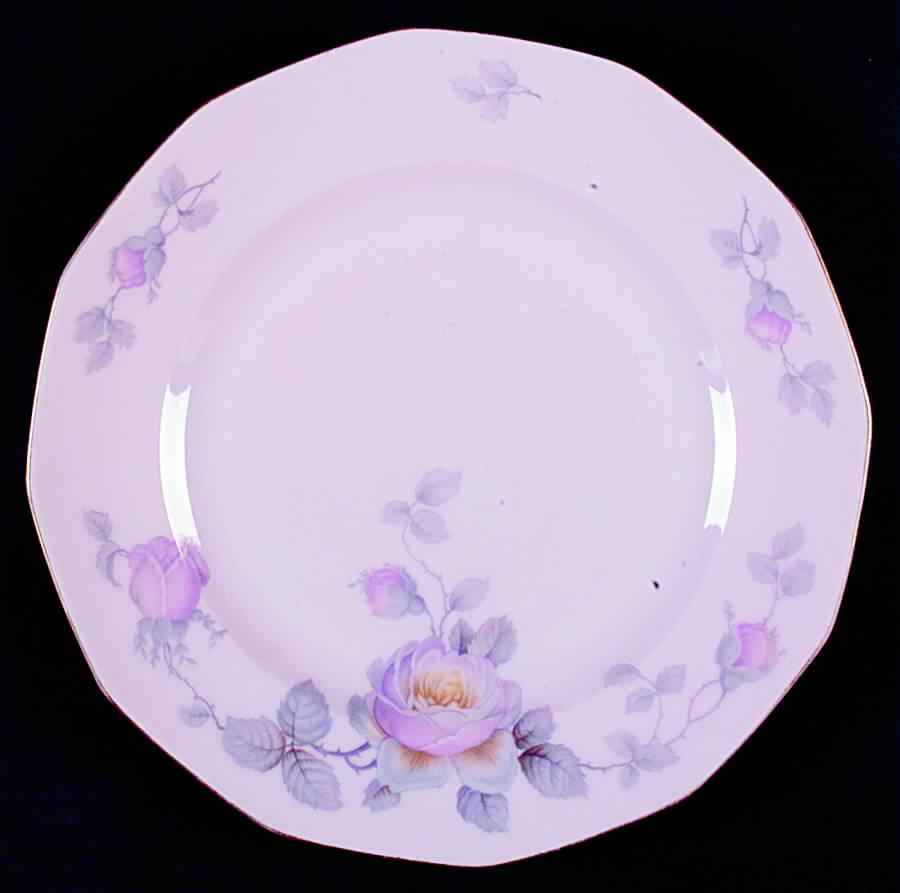 Pastelle Dinner Plate by Johann Haviland-1