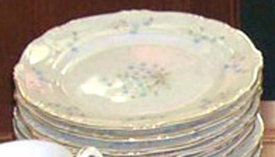 Michele Salad Plate by Japan-1