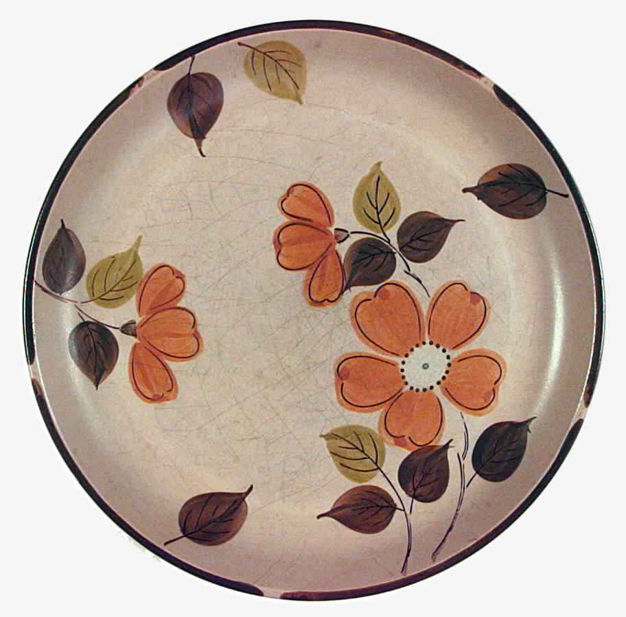 Laurel Dinner Plate by JCPenney-1