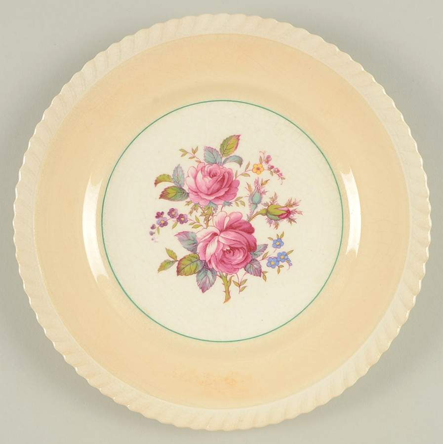 JB21 Tan Salad Plate by Johnson Brothers-1
