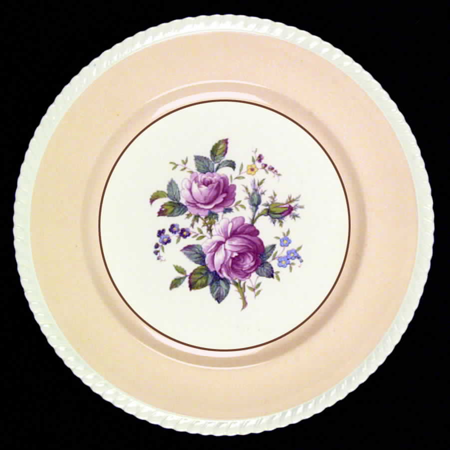 JB21 Tan Dinner Plate by Johnson Brothers-1