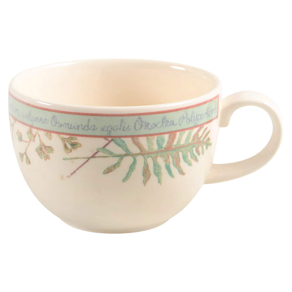 Springfield (Green Rim) Flat Cup by Johnson Brothers-1