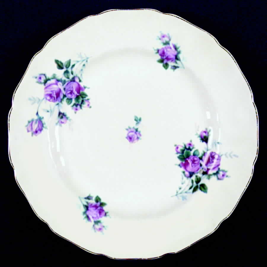 JB451 Dinner Plate by Johnson Brothers-1