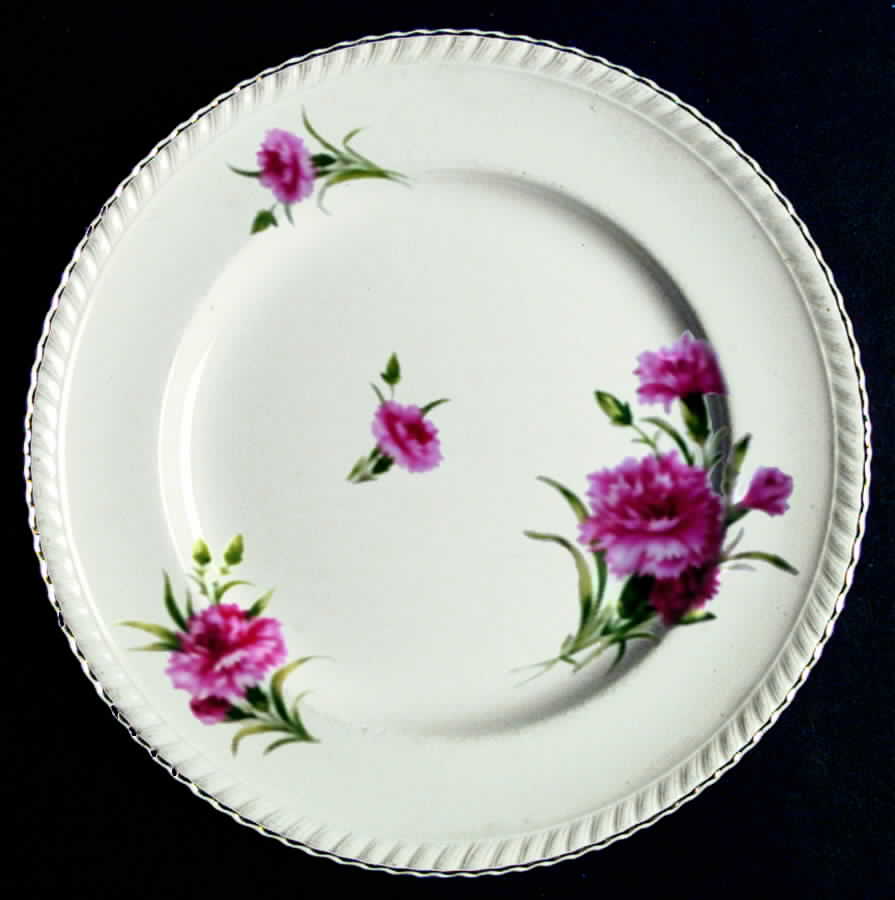 JB453 Dinner Plate by Johnson Brothers-1