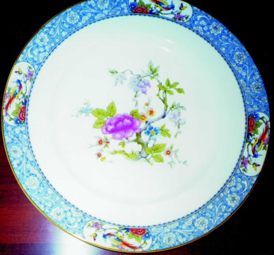 28334 Dinner Plate by George Jones & Sons-1