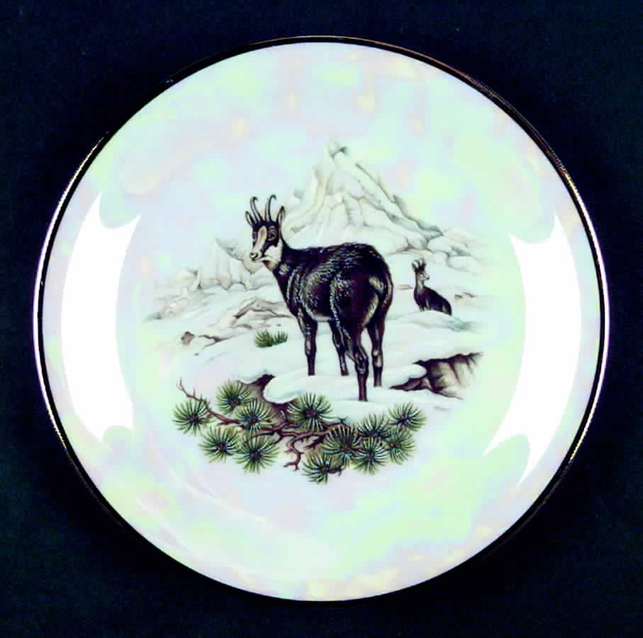 JOE6 Salad Plate by Johann Seltmann-1