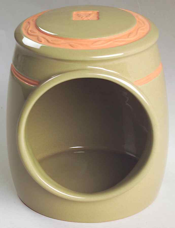 Fernleigh Salt Crock by Johnson Brothers-1