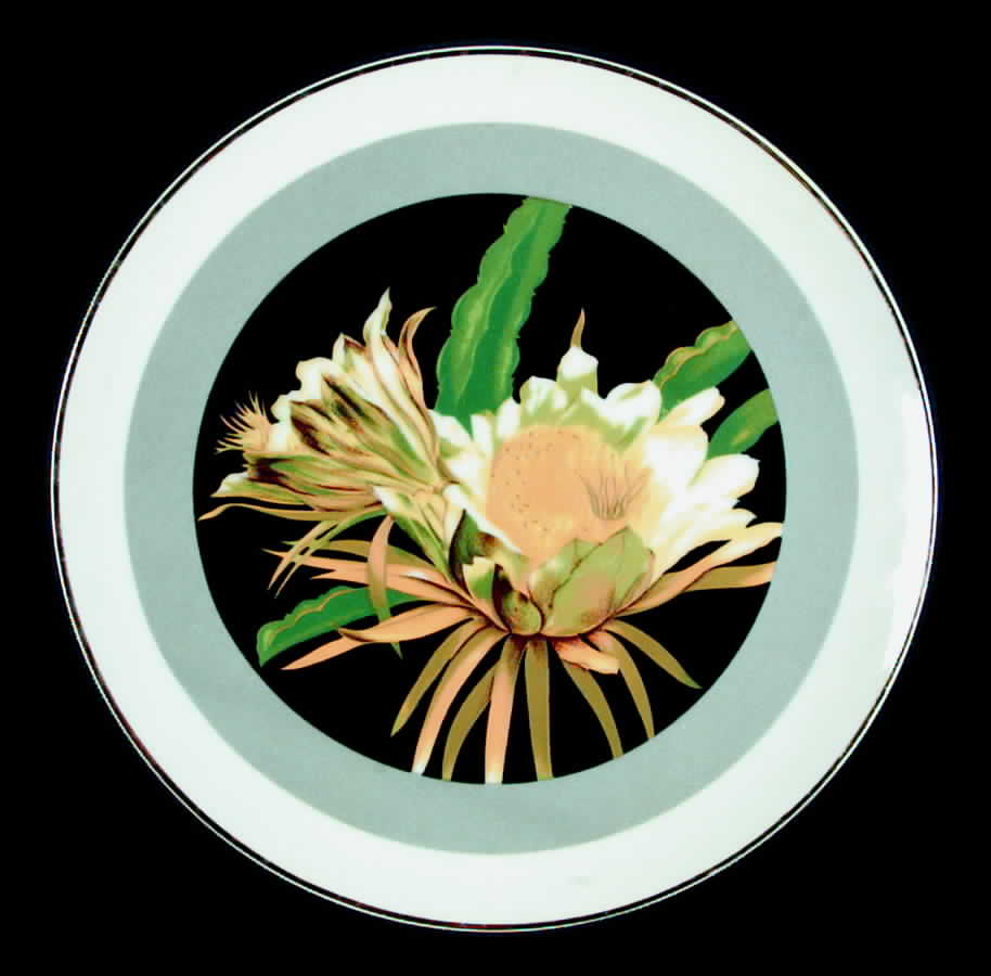 Hawaii Dinner Plate by Japan-1
