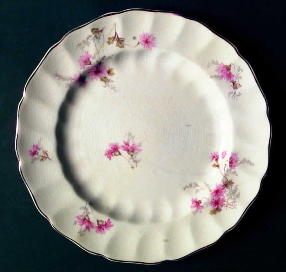 JB483 Dinner Plate by Johnson Brothers-1